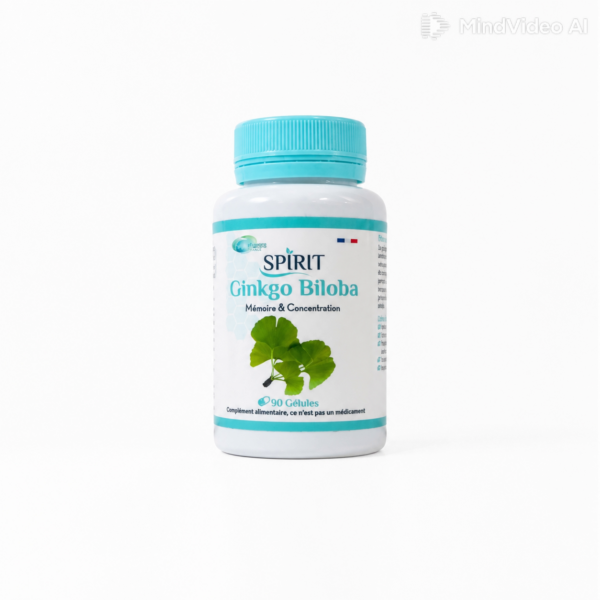 Spirit Ginkgo Biloba 90 Gelules